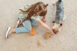 From Red Wine to Pet Urine: How to Handle the Most Common Carpet Stains