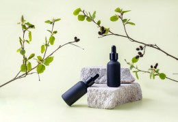 From Lavender to Eucalyptus: Essential Oils That Help Combat Stress
