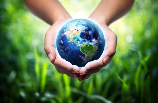 Understanding Carbon Credits: A Comprehensive Guide for Beginners